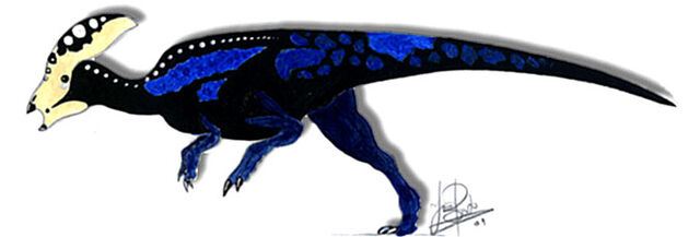 File:Parachlorosaurus viduatus.jpg