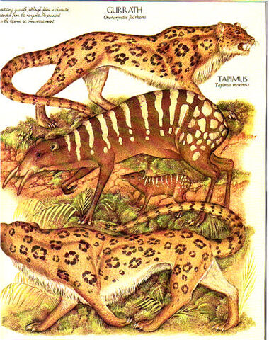 File:2ce0c6da8da04ac67d781110 L.jpg