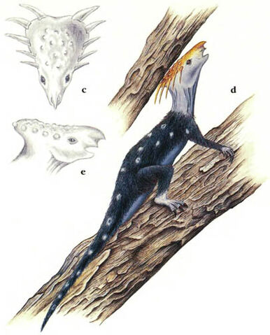 File:Gestalt.jpg