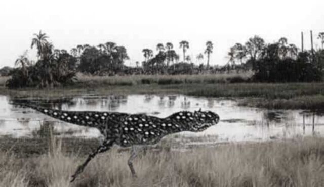 File:Priscataur2.jpg