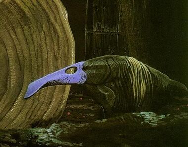 Spade-Nose