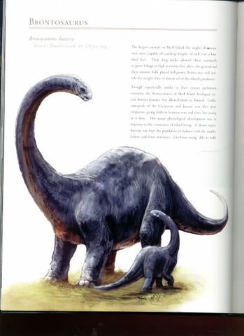 File:Brontosaurus.jpg