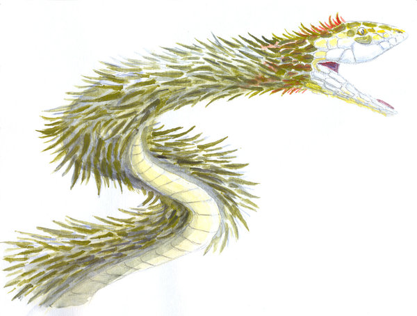 Quetzalcoatl by sphenacodon