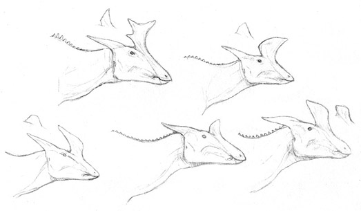 File:Ortheads.jpg