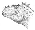 Thumbnail for version as of 15:52, August 17, 2010