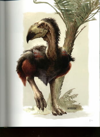 File:Zeropteryx.jpg