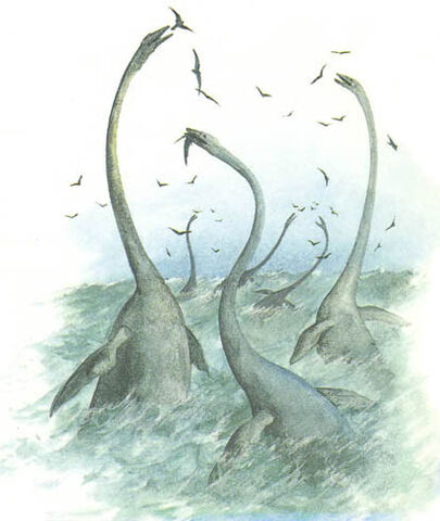 File:Birdsnatcher.jpg