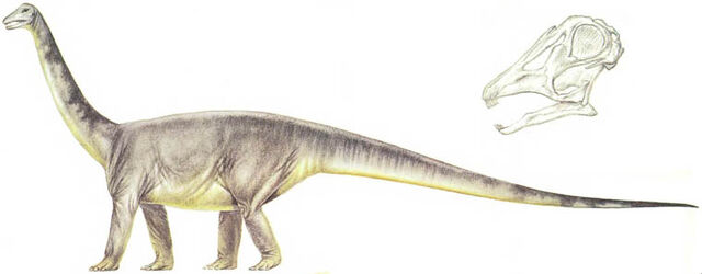 File:Titanosaur 2.jpg