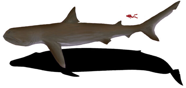 File:Gigamouth2.jpg
