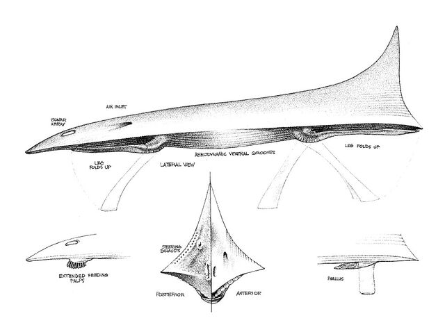 File:Jetdarter Anatomy.jpg