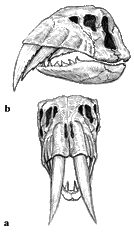 P00742