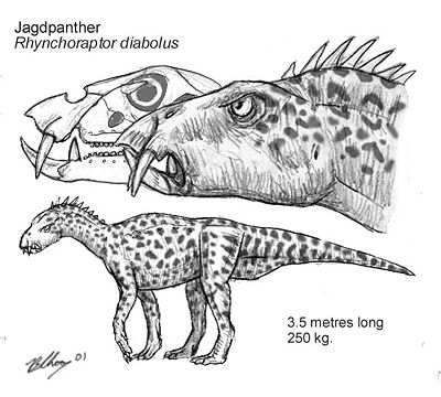 File:RHYNCHO1.JPG