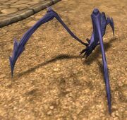 Calaspider avatar image