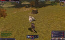 Interface 800x300