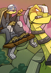 Turtle Tamer B