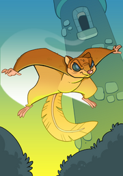 Air Nymph A