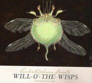 Will-o-the-Wisp-female
