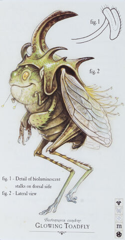 File:ToadflySprite.jpg