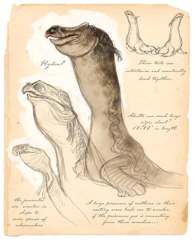 CategoryCreatures beyond the Field Guide Spiderwick Chronicles Wiki