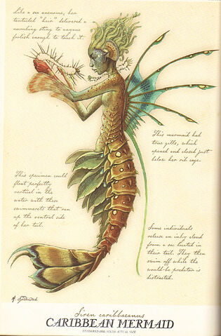 File:Spiderwick Caribbean Mermaid.jpg