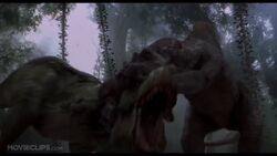 Images (1)-0