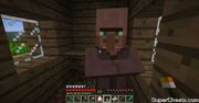 Thevillager