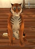 Tigerroom