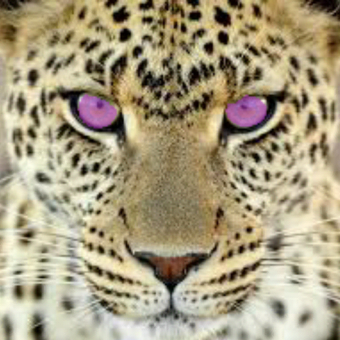 File:20140426162553.png