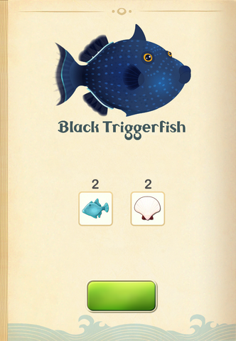 File:Black Triggerfish§Aquapedia.png