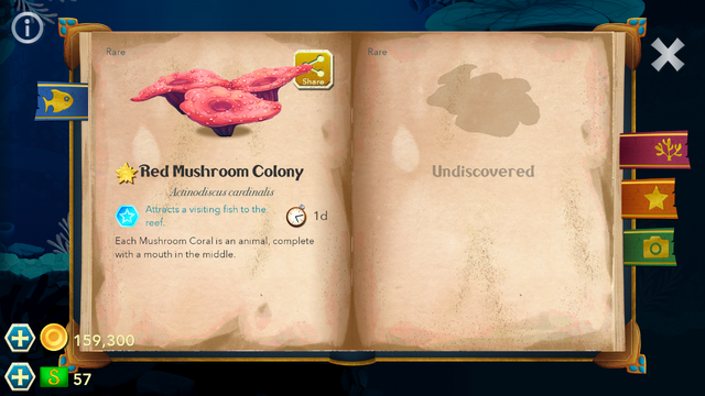 File:Screenshot 2017-02-11-18-27-47.png