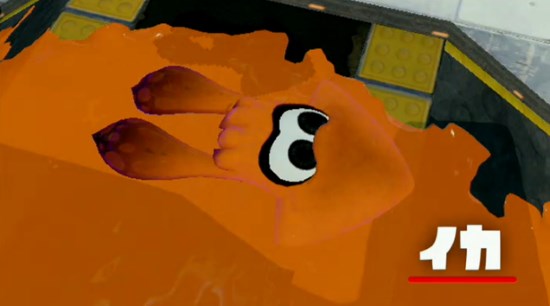 ファイル:イカ.jpg