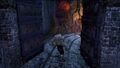Thumbnail for version as of 05:38, March 17, 2011