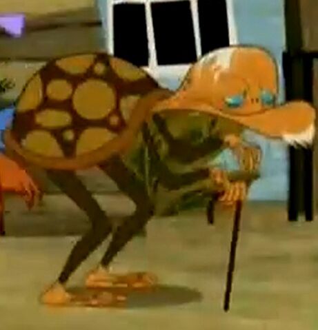 File:Chimpturtle.jpg