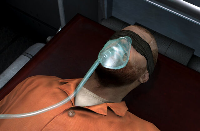 File:Kestrelhead.jpg