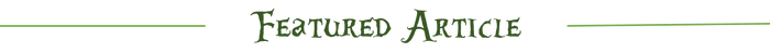 Featured Article 2
