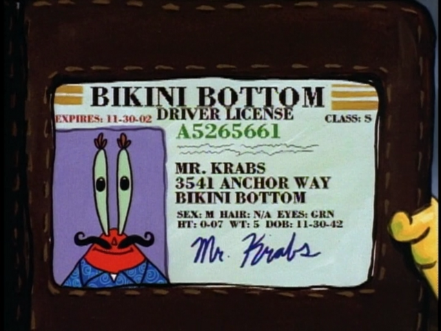 Plik:Krabsdriverlicense.png