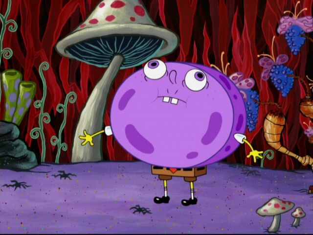 File:Purple.jpg