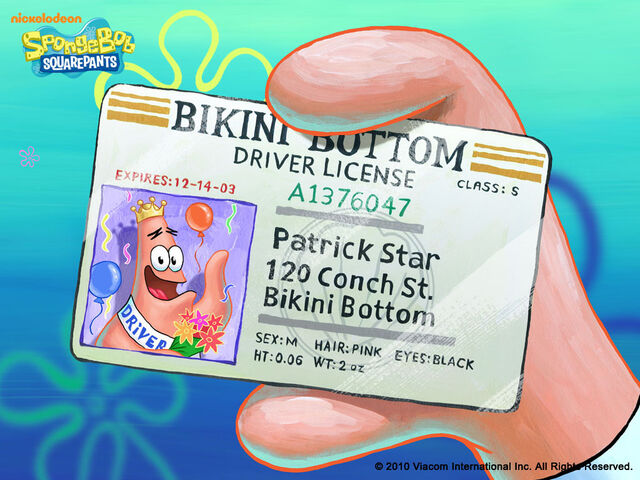 File:License.jpg