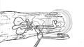 Thumbnail for version as of 00:32, August 5, 2016