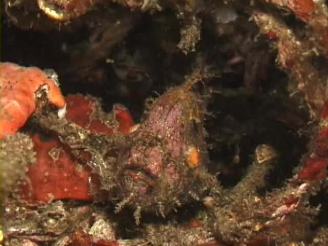 File:Case of the Sponge Bob 122.png