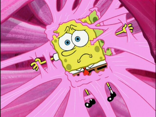 File:The sad sponge gum.jpg