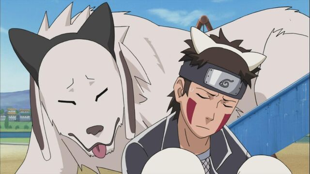 File:Shiba-and-akamaru.jpg
