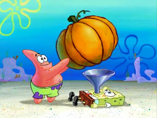 File:Pumpkins.jpg
