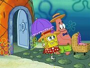 Rock-a-Bye Bivalve 47