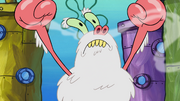 Yeti Krabs 090