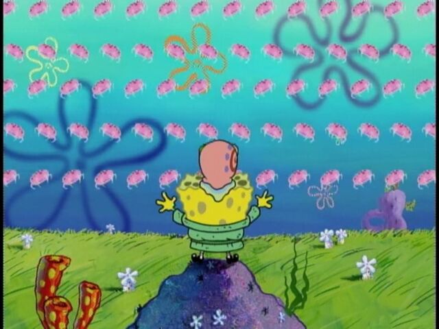 File:Loook gary jellyfish.jpg