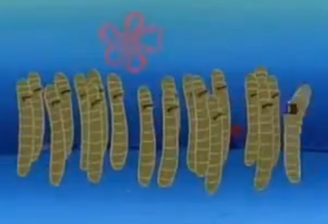 File:SB-Character-0074.png