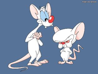 Pinky-And-The-Brain