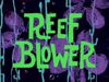 Reef Blower