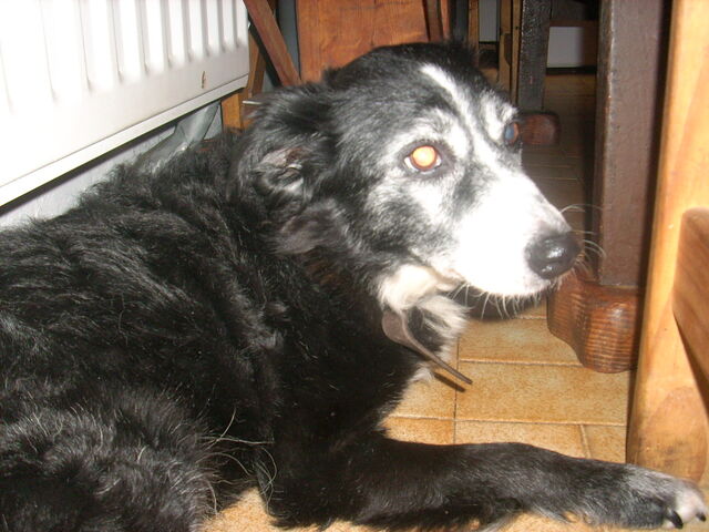 File:Timmy5.jpg